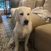 Martha H. - @marthahaley - TikTok