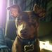 Martha Healey - Facebook