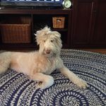 Martha Heck - @marthaheck72 - Instagram