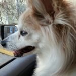 Martha Heck Riche - @heckriche - Instagram