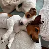 Martha & Hector - @dospanchos - TikTok