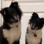 Martha Washington Hedrick - @martha.w.hedrick - Instagram