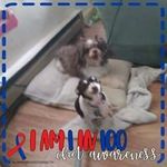 marthahedrick - @marthahedrick1 - Instagram