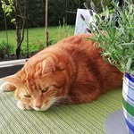 Martha Heller - @hellermartha - Instagram