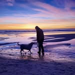 Martha L Henning - @marthalhenning - Instagram