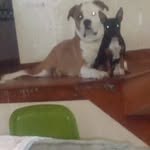 Martha Hensley Moore - @moore5203 - Instagram