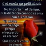 Martha C Hermann - @mhermanbravo - Instagram