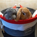 Matha and Hermann - @martha.and.hermann - Instagram