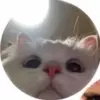 Martha Herrick - @marthaherrick313 - TikTok