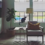 Martha Hightower - @mlhatx - Instagram