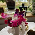 Märta Holmberg - @martaholmberg - Instagram