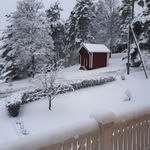 Märta Holmberg - @martalouiseviola - Instagram