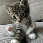 Märta Holmberg - @marta_holmberg53 - Instagram