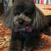 Martha Horner Litton - Facebook
