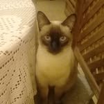 Martha Horta Parra - @marthahortapa - Instagram
