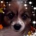 Martha Inglis - Facebook
