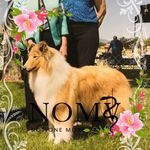 Martha Ives - @goatgirl303 - Instagram