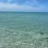 Marsha Jarrett - @marsha.jarrett4 - TikTok