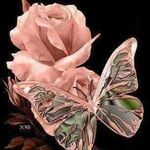 Martha Jasso - @martha.jasso.5623 - Instagram