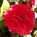 Martha Judson - Facebook