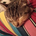 Martha Kaye - @marthakaye3 - Instagram