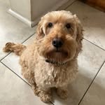 martha - @marthakeeling81 - Instagram