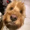 martha - @marthakeeling - TikTok