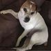 Martha Kellum - Facebook