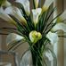 Martha Kelly - Facebook
