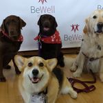 Martha Kessler - @stanfordpetpartners - Instagram