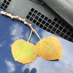 Martha Kessler - @mdkess83 - Instagram