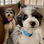 Martha Kilpatrick - @martha.kilpatrick.5 - Instagram