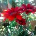 Martha Gómez - Facebook