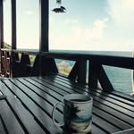 Martha Pat Kinney - @mpkinney - Instagram