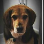 Martha Lafferty Alwes - @my_name_is_marley_ - Instagram
