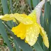 Martha Lafferty Hayes Viera - @martha.lafferty.h - TikTok