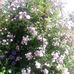Martha Lamm - Facebook