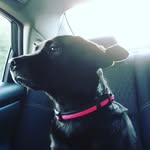 Martha Riley Lassiter - @rileylassiterm011 - Instagram