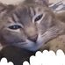 Martha M Lavender - Facebook