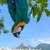 martha - @martha.legg - TikTok