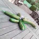 martha - @marthaslivelykitchen - Instagram