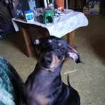 Martha Loftin - Facebook