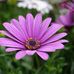 Martha Loomis - Facebook