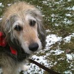 Martha Loomis Pfefferman - @pfeffermanmartha - Instagram
