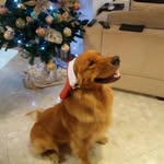 Martha Loos - @marthaloos10 - Instagram
