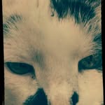 Martha Ludwig - @ludwig681 - Instagram