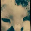 Martha Luise Ludwig - @marthaludwig - TikTok