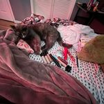 Martha Lynn - @luv_me2307 - Instagram