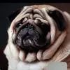 Martha Lynn - @martha.lynn2 - TikTok