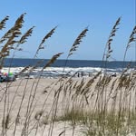 Martha Lynn Williams - @lynnwilliams2697 - Instagram